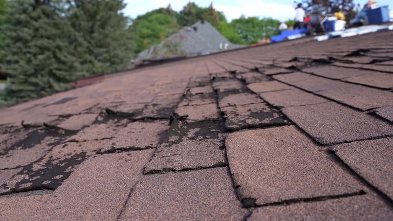 Best Emergency Roof Repair Services  in Rainier, WA