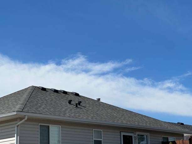 Best Storm Damage Roof Repair  in Rainier, WA